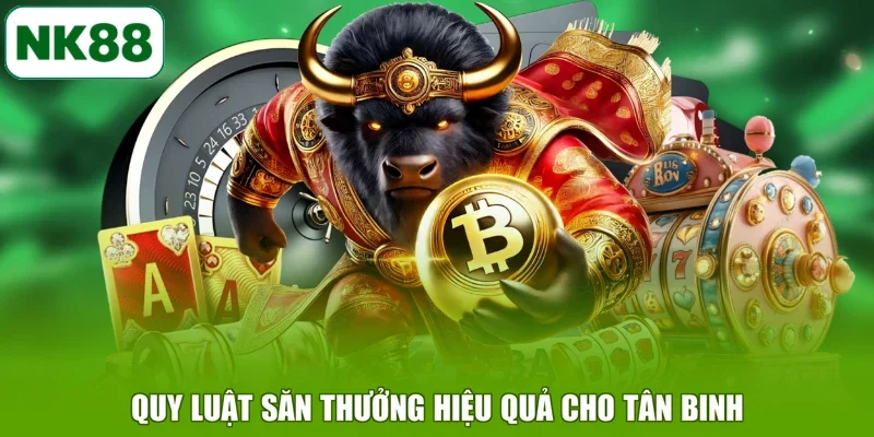 Quy luật săn thưởng hiệu quả cho tân binh